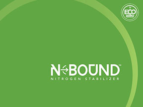 NBound-cvr