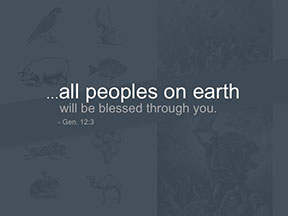 all all