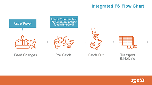 Flow-chart1a