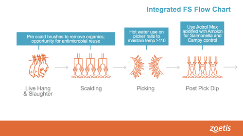 Flow-chart2a